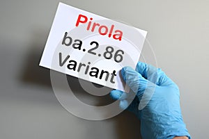 The hands of doctor in blue gloves with white paper and text ba.2.86 Pirola Variant.