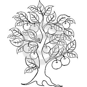 Hands drawing apple tree for the anti stress coloring page.