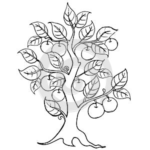 Hands drawing apple tree. Vector artwork. Illustration for the invitation, the elements of brand book, logo.