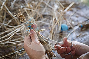 Hands of an elderly woman make a straw toy. Close-up