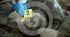 Hands, evidence marker and csi for investigation at crime scene with blood on rocks or gloves for safety in river