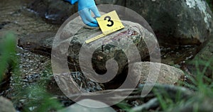 Hands, evidence marker and forensic for investigation at crime scene with blood on rocks or gloves for safety in river