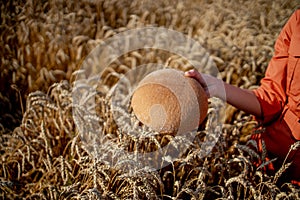 Hands of farmer holding bran bread freshly baked of raw healthy flour with golden wheat ears on background. Agronomist holding a