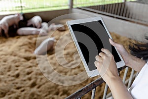 Hands of farmer using digital tablet in organic rural farm agricultural. Agriculture industry