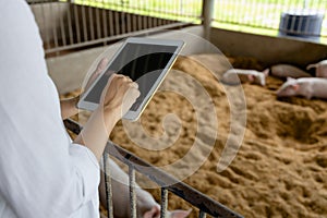 Hands of farmer using digital tablet in organic rural farm agricultural. Agriculture industry