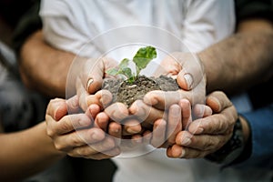 Hands of farmers family