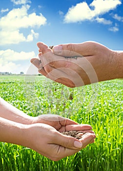 Hands of farmers with soil