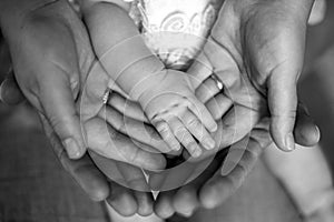 Hands of father, mother, keep little feet baby. Friendly happy family, hands families together black and white photo