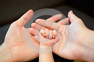 Hands of father, mother and newborn baby.