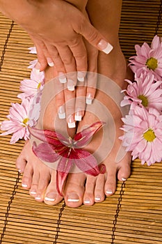 Hands and feet in manicure and pedicure