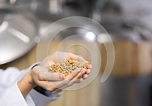 Hands of female brewer holding handful of malted grain