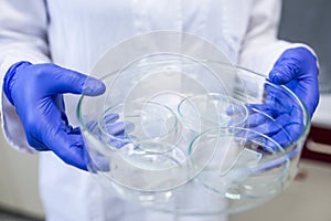 Hands of a female researcher carrying out research in a chemistry lab