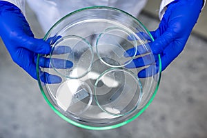 Hands of a female researcher carrying out research in a chemistry lab