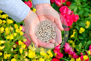 Hands with fertilizer