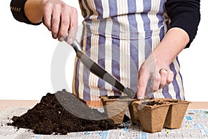 Hands filling soil into peat pots