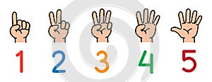 Hands with fingers.Icon set for counting education
