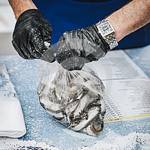 Hands of fish store salesman in gloves selling fish in fish supermarket