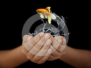 Hands with fish and water