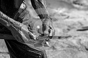 Hands of a fisherman with a knife.