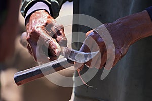 Hands of a fisherman with a knife.