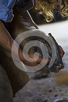 Fariery - Horse shoeing at an Amish shop