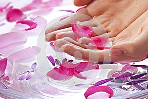 Hands Flower Beauty Treatment