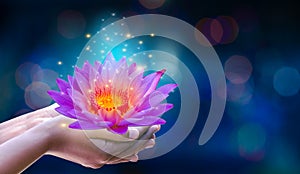 In the hands of a flower lotus Pink light purple floating light sparkle purple background