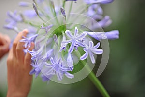 Hands and flowers