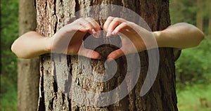 Hands form a heart shape against a tree trunk, symbolizing love for nature. International Day of Forests.
