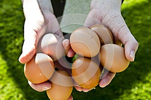 Hands with fresh eggs