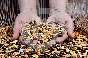 Hands full of fresh legumes. Different cereals and legumes. Mixed dried legumes and cereals