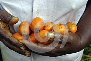 Hands full of fruits