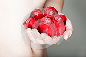 Hands are full of rosebuds