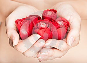 Hands are full of rosebuds photo