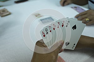 Hands of gambler playing card in rummy game. Close up card in ha