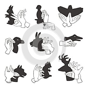 Hands gesture like different animals imagination theatrical symbol and people finger figures puppet copy leisure shadow