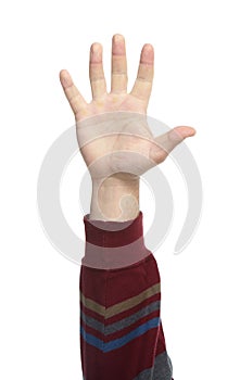 Hands with gestures