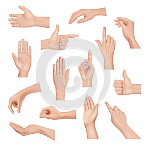 Hands gestures. Realistic detailed anatomic people body parts human hands palm and fingers decent vector template