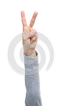 Hands with gestures on a white background