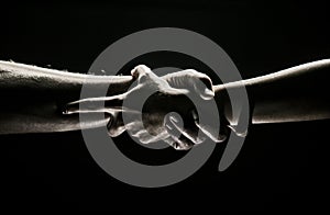 Hands gesturing on black background. Giving a helping hand. Support and help, salvation. Strength strong hads of two