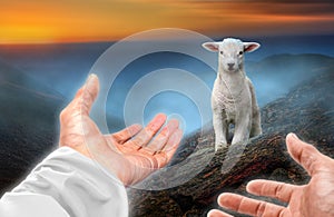 Hands of God reaching out to a lost sheep