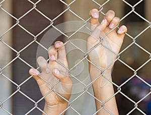 Hands grabbing mesh cage