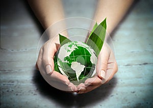 Hands with green eco World globe - Usa