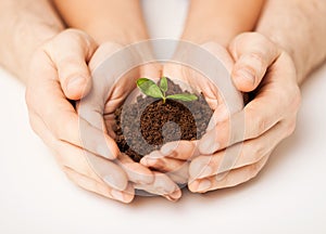 Hands with green sprout and ground