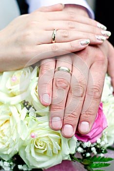 Hands of groom and bride