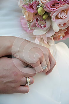 Hands of the groom and the bride