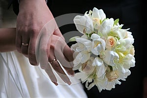 Hands of groom and bride