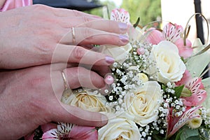 Hands of the groom and the bride