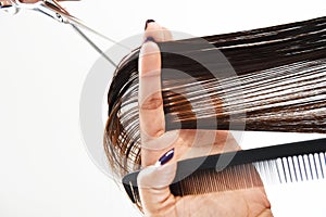 Hands of a hair stylist trimming hair with a comb and scissors