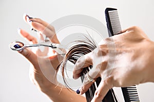 Hands of a hair stylist trimming hair with a comb and scissors photo